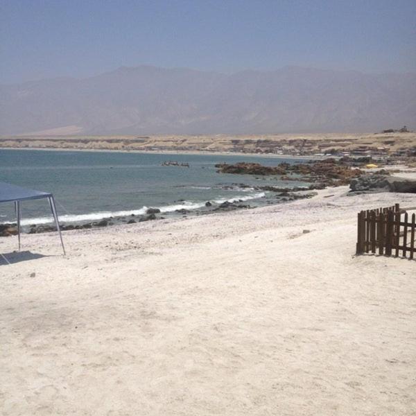Hotel Alto Antofagasta Exteriör bild